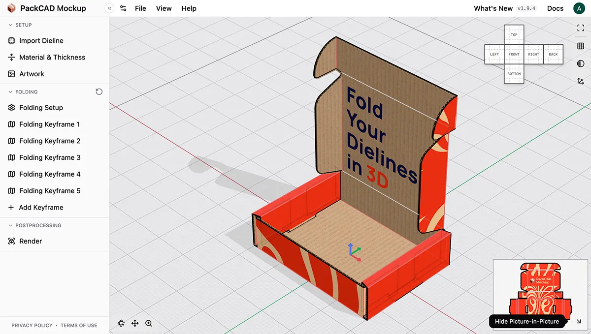 Folded Model view with a 2D picture-in-picture in the bottom-right corner showing the Hide Picture-in-Picture tooltip