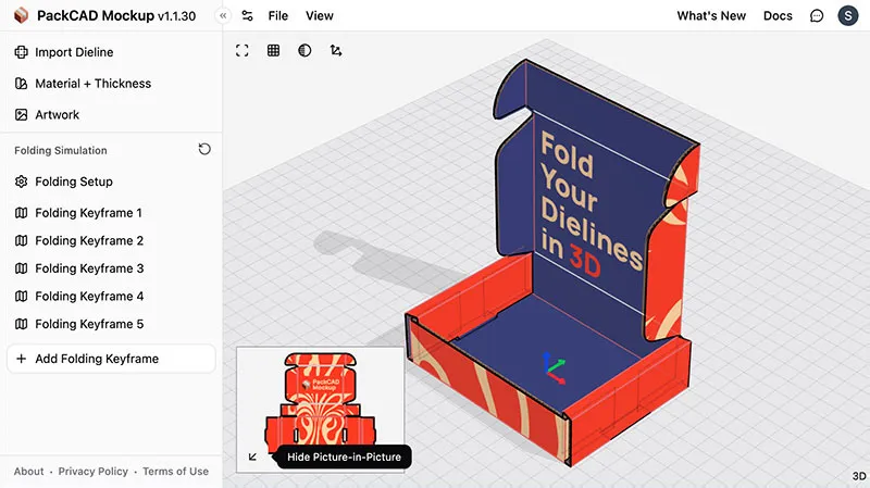 Folded Model view with a 2D picture-in-picture in the bottom-left corner showing the Hide Picture-in-Picture tooltip