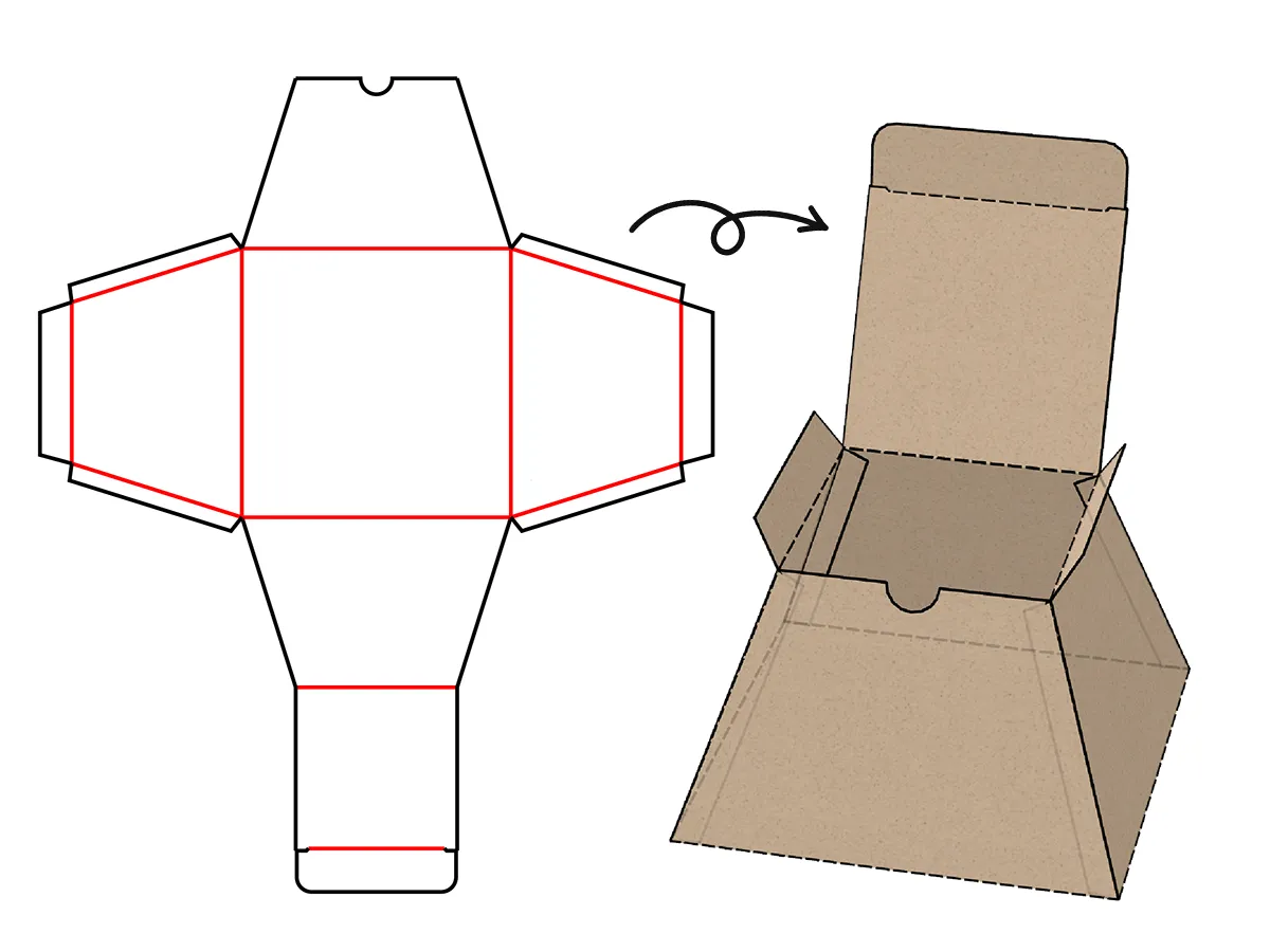 A custom 2D dieline and the 3D mockup PackCAD Mockup builds from it